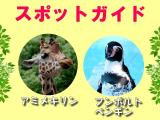 2014年6月22日(日)のスポットガイド