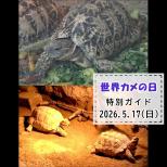 「世界カメの日」特別ガイドを開催します