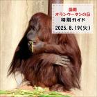 「国際オランウータンの日」特別ガイドを開催します
