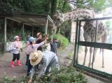動物園サマースクール（こども体験教室）