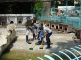 「動物園サマースクール」を開催します（事前申込・定員制）