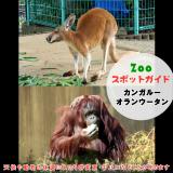 4月12日はカンガルーとオランウータン