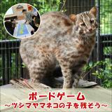 「ボードゲーム～ツシマヤマネコの子を残そう～」を開催します