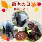 「敬老の日」特別ガイドを開催します