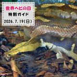 「世界ヘビの日」特別ガイドを開催します