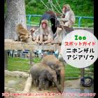 10月5日はニホンザルとアジアゾウ