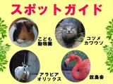 2014年5月4日(祝・日)のスポットガイド