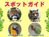 2014年6月15日(日)のスポットガイド