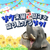 動物情報館「ゾウ来園2周年を盛り上げるゾゥ！」