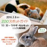 2016年3月6日(日)のスポットガイド