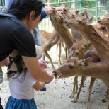 福岡市動物園動物サポーター限定「春のバックヤードツアー」の参加者を募集しています