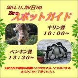 2014年11月30日(日)のスポットガイド