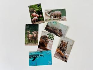 オリジナル動物ステッカーの写真