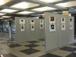 写真コンテスト入賞作品を市役所に展示しています（2008.10.27)