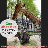 2月22日はアミメキリンとチンパンジー