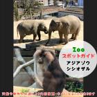 3月20日はアジアゾウとシシオザル