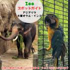 11月1日はアジアゾウと大型オウム・インコ