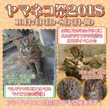 「ヤマネコ祭2018」を開催します