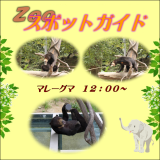 2014年11月24日(振休・月)のスポットガイド