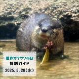 「世界カワウソの日」特別ガイドを開催します