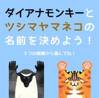 ダイアナモンキーとツシマヤマネコの名前をみんなで決めよう！