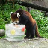 8月1日(土)「夜の動植物園」スポットガイド