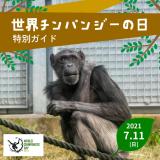 「世界チンパンジーの日」特別ガイド