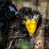 第39回動物園写真コンテスト作品募集