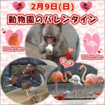 動物園のバレンタイン♥