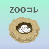 動物情報館ZooLab「Zooコレ～福岡市動物園収蔵 コレクション【たまご標本】～」