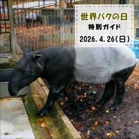 「世界バクの日」特別ガイドを開催します