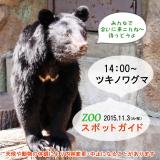 2015年11月3日(祝・火)のスポットガイド