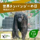 「世界チンパンジーの日」特別ガイド