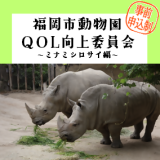 動物情報館ZooLab「福岡市動物園QOL向上委員会～ミナミシロサイ編～」