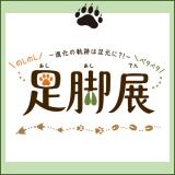 動物情報館ZooLab 展示「―進化の軌跡は足元に⁈―＼のしのし／＼ペタペタ／足脚展」