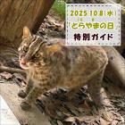 「とらやまの日」特別ガイドを開催します