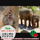 7月21日はニホンザルとアジアゾウ