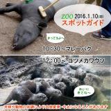 2016年1月10日(日)のスポットガイド