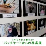 飼育員が写真家に!「バックヤードからの写真展」