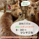 2016年7月17日(日)のスポットガイド