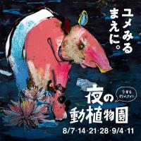 【中止します】今年も「夜の動植物園」を行います