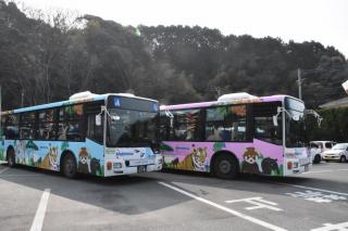 福岡市動物園｜新しいデザインのラッピングバスが登場します！
