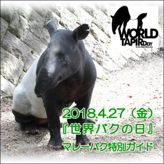 福岡市動物園 世界バクの日 記念 マレーバクの特別ガイドを開催します