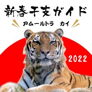 トラしっぽ様おまとめ専用ページになります 虎 トラ 寅 しっぽ 尻尾 アニマル チェンジ 1/3 1/4 1/6 1/8 MSD