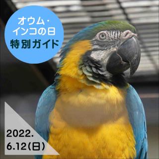 福岡市動物園｜「オウム・インコの日」特別ガイドを開催！